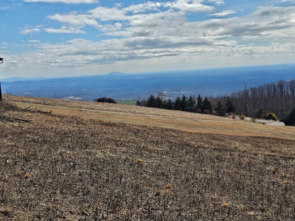 Lot#2 Cabin Ridge Trail, Unit 2 Fancy Gap, VA 24328 - Photo 4 of 9 Gallery Image 4