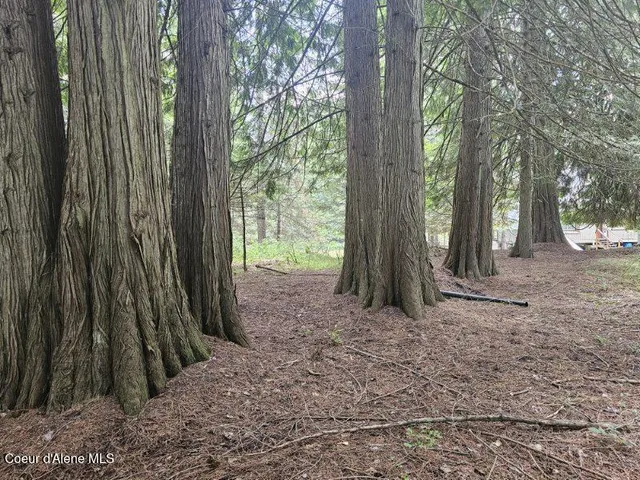 $205,000 | Nna Nna Delta Shores, Clark Fork, ID 83811