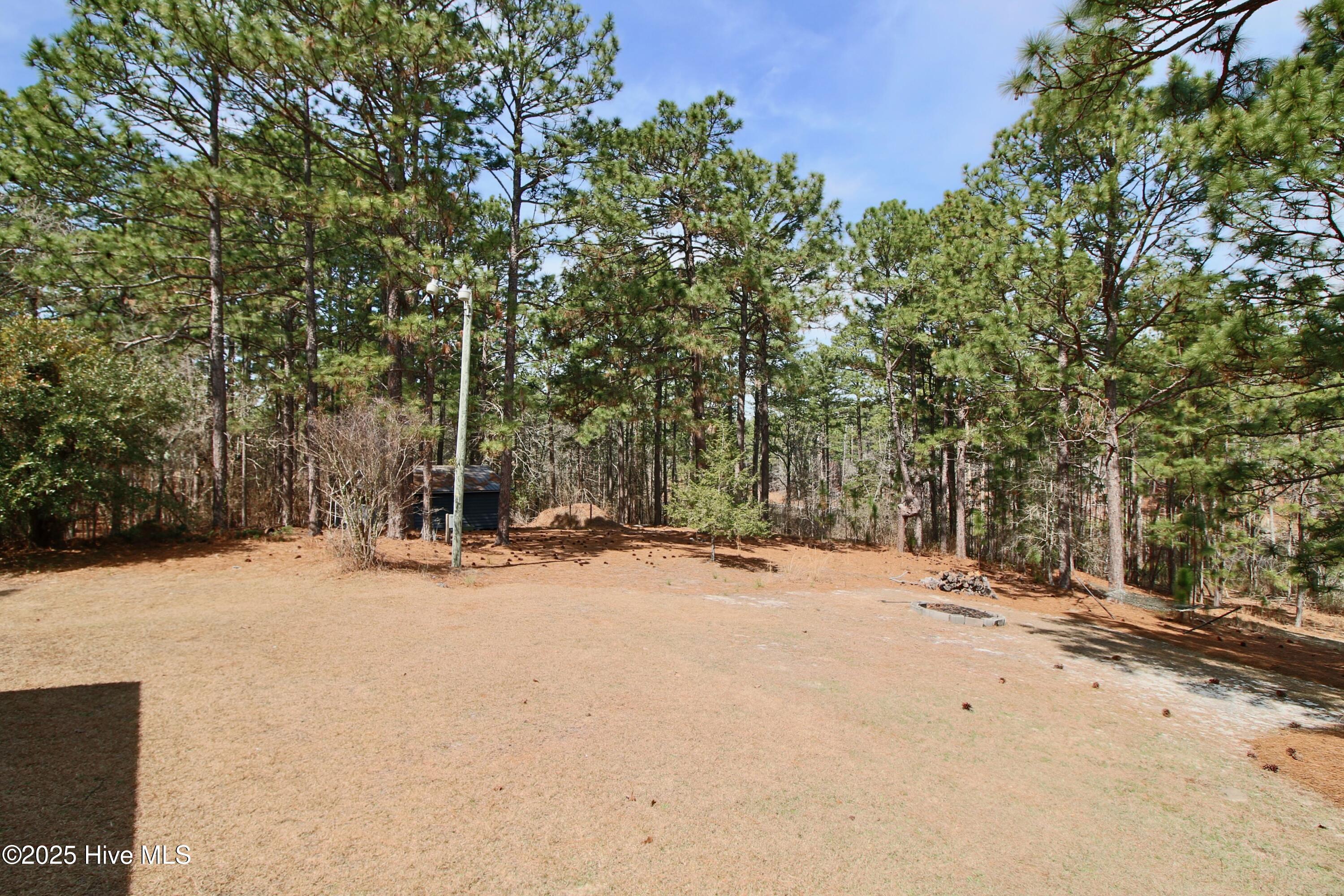 241 Audubon Road Pinebluff, NC 28373 - Photo 36 of 45 IMG_9692