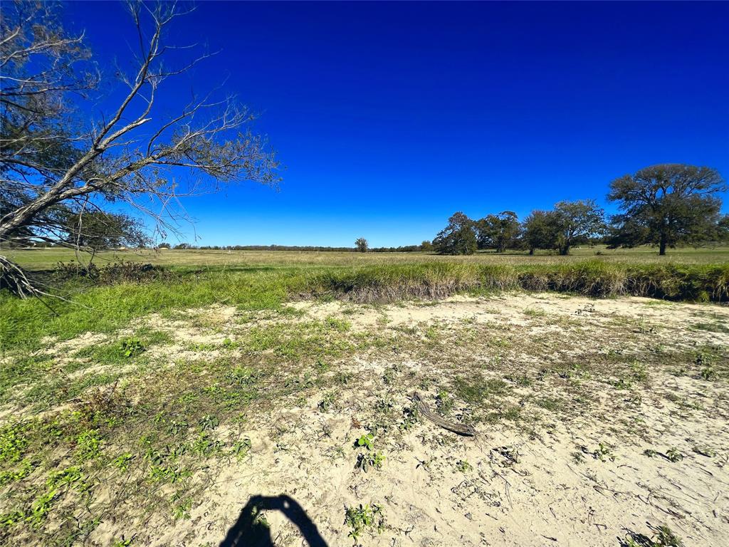 Lot 10 Triangle Shores Drive Corsicana, TX 75109 - Photo 12 of 40 a view of an ocean from a yard