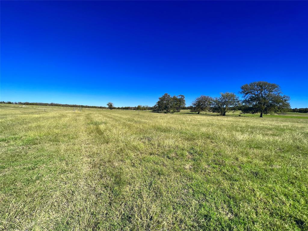 Lot 10 Triangle Shores Drive Corsicana, TX 75109 - Photo 14 of 40 a view of a field with an ocean
