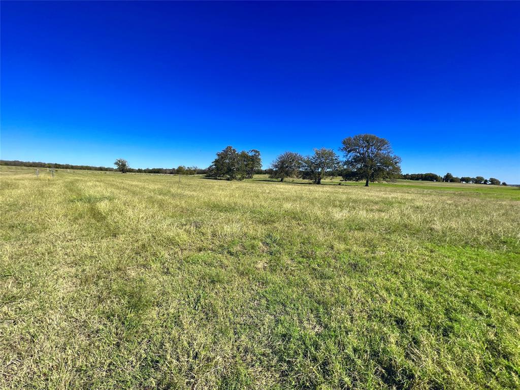 Lot 10 Triangle Shores Drive Corsicana, TX 75109 - Photo 26 of 40 a view of a big yard with an outdoor space
