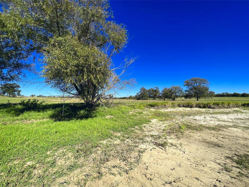 Lot 10 Triangle Shores Drive Corsicana, TX 75109 - Photo 37 of 40 a view of an outdoor space and a yard