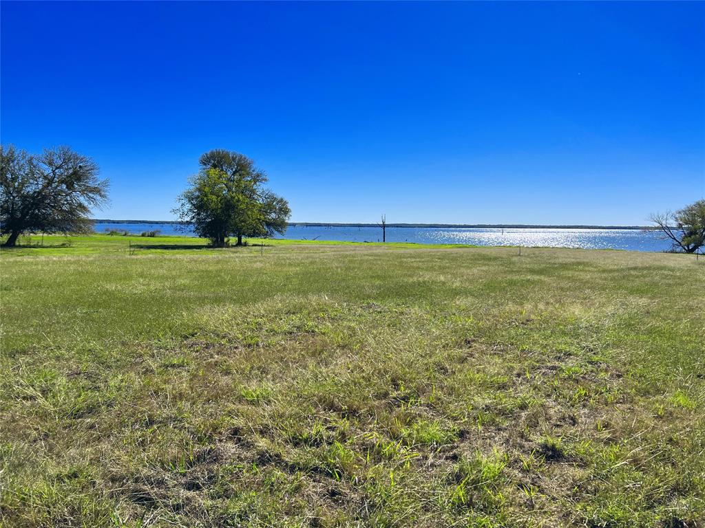Lot 10 Triangle Shores Drive Corsicana, TX 75109 - Photo 38 of 40 a view of a field with an tree