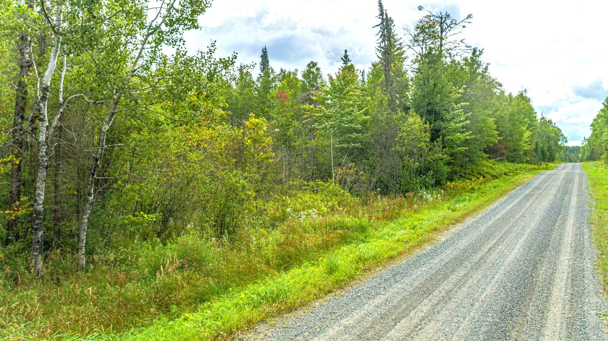 Tbd Comet Road Embarrass, MN 55732 - Photo 5 of 10