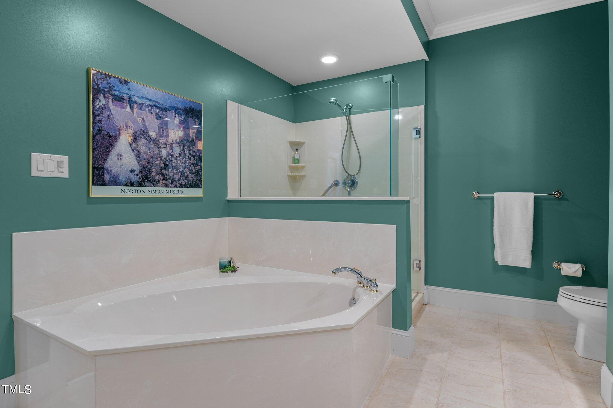 3700 Baron Cooper Pass, Unit 202 Raleigh, NC 27612 - Photo 33 of 49 a bathroom with a bathtub and a shower