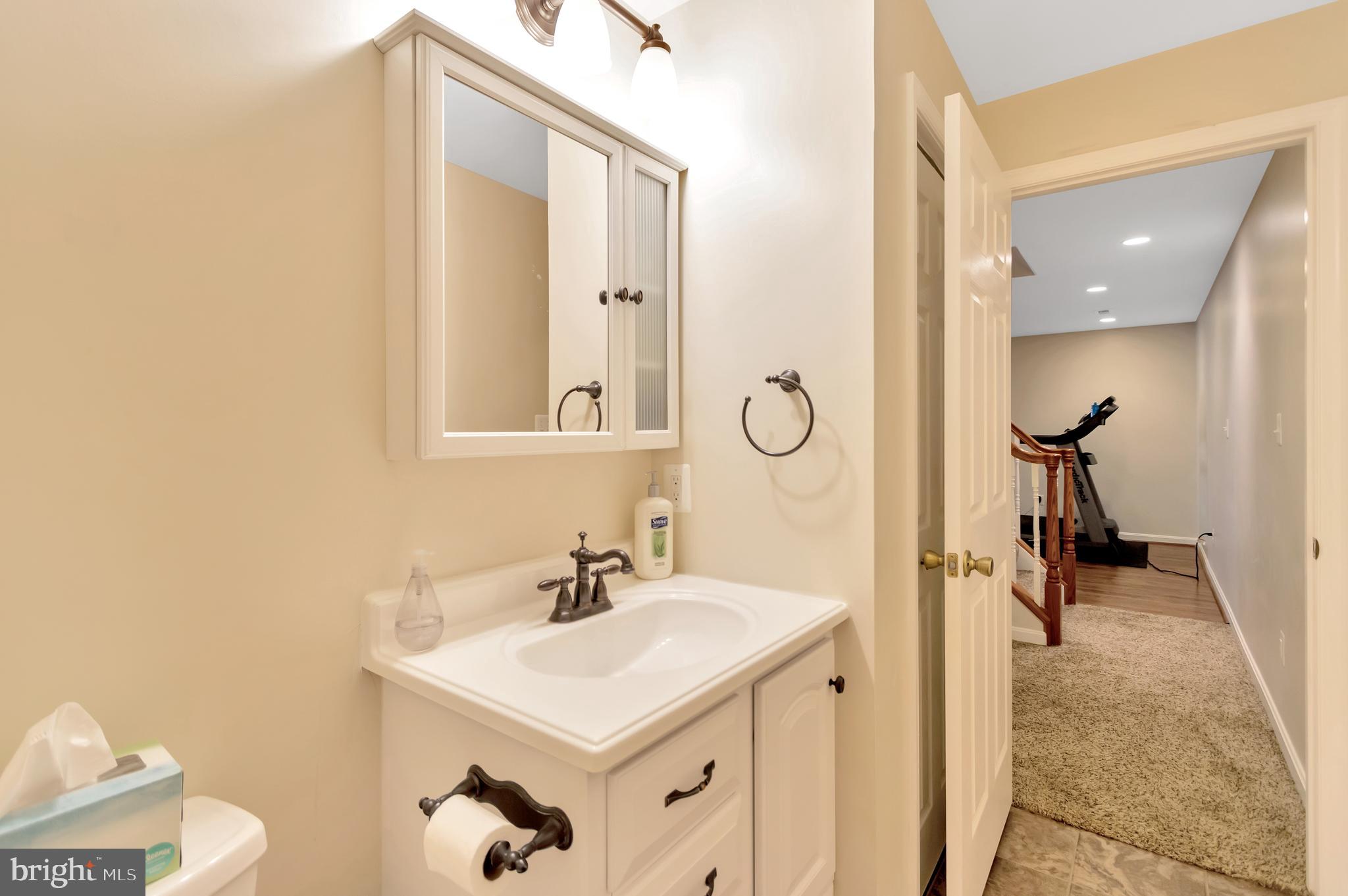 43364 Deepspring Court Ashburn, VA 20147 - Photo 53 of 59 Lower Level Bathroom
