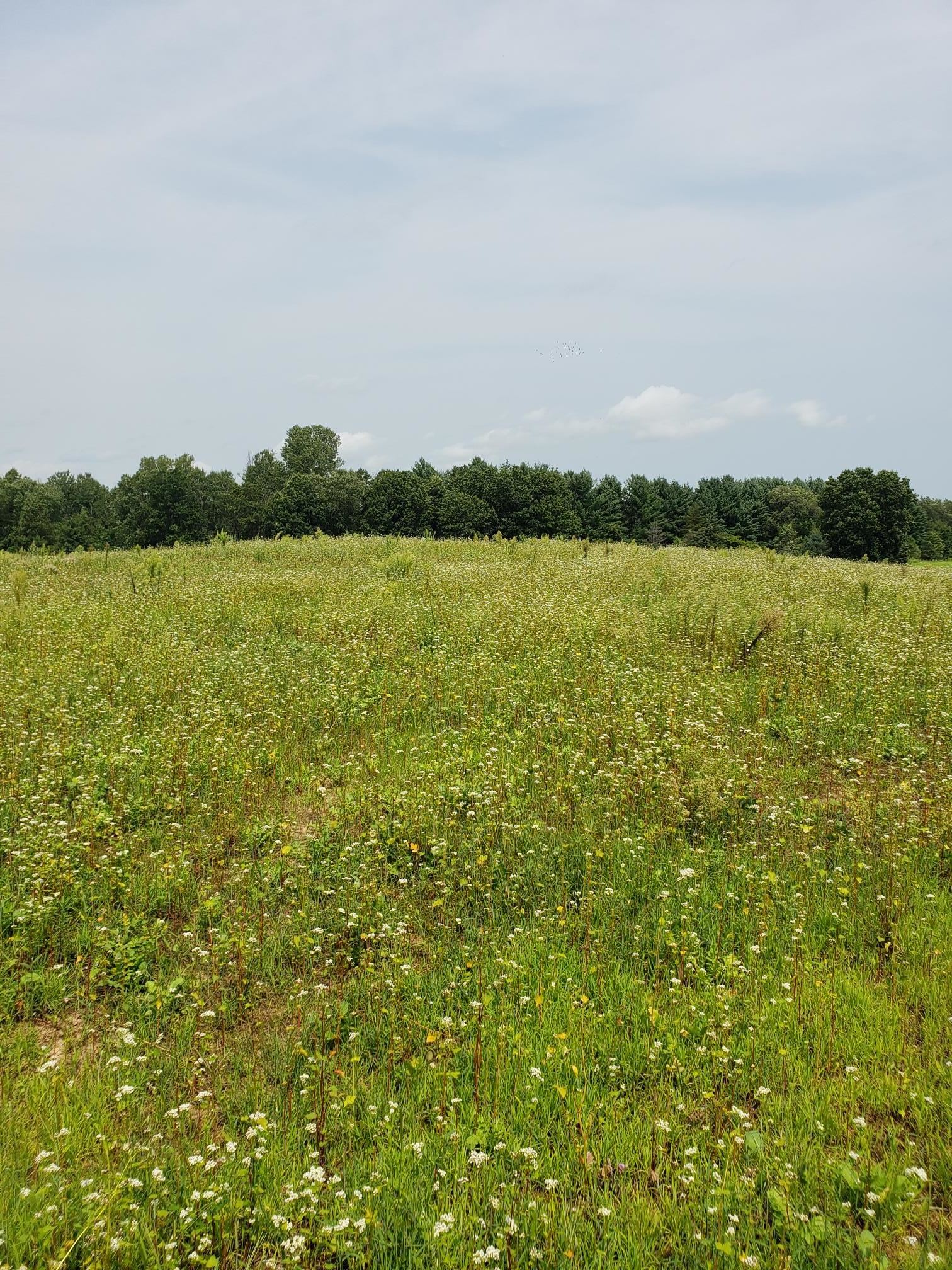 N7712 Church Road Portage, WI 53901 - Photo 41 of 44 Gallery Image 41