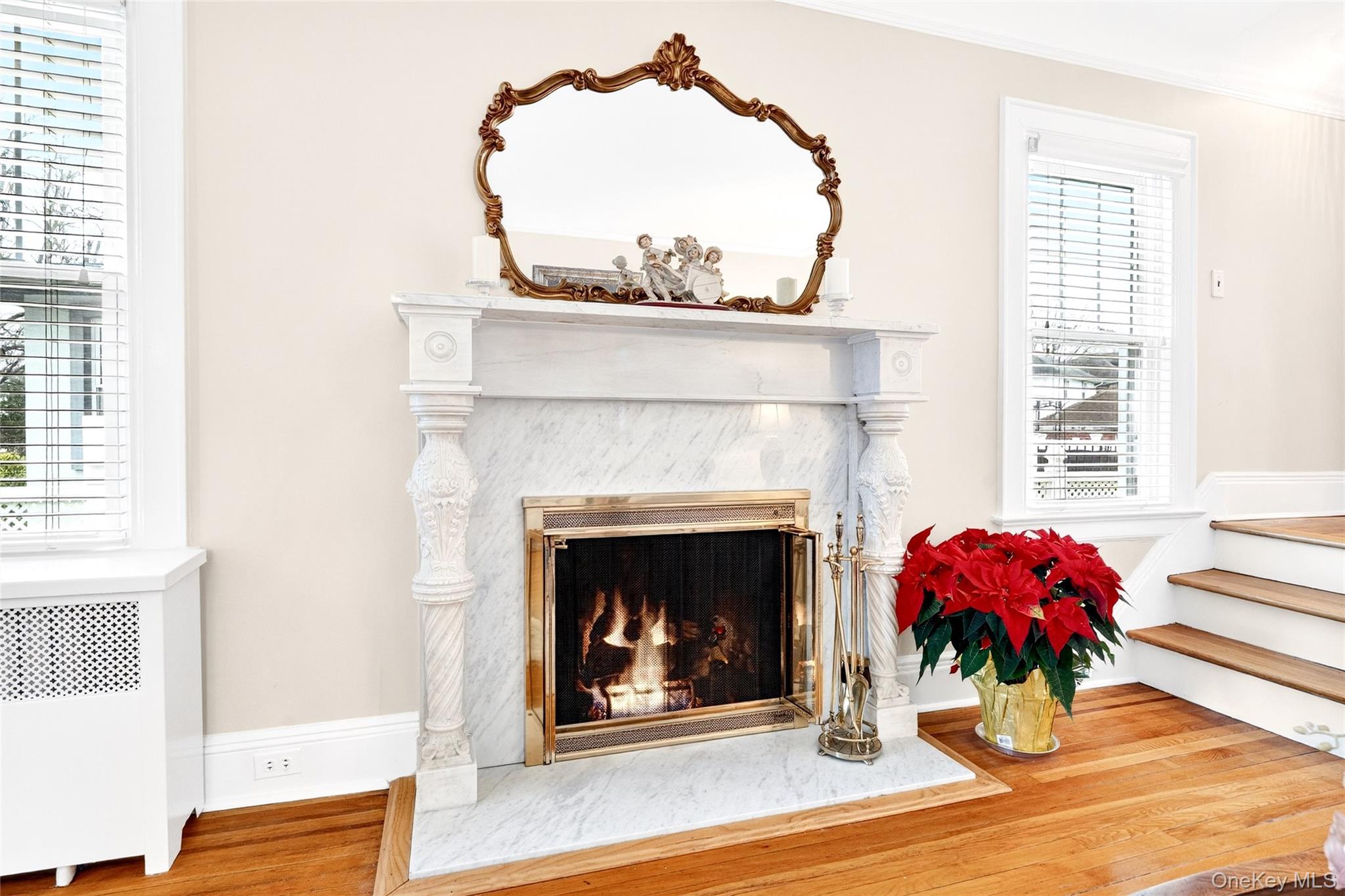 3334 Country Club Road Bronx, NY 10465 - Photo 8 of 49 Detailed view of a premium fireplace, radiator, wood finished floors, and ornamental molding