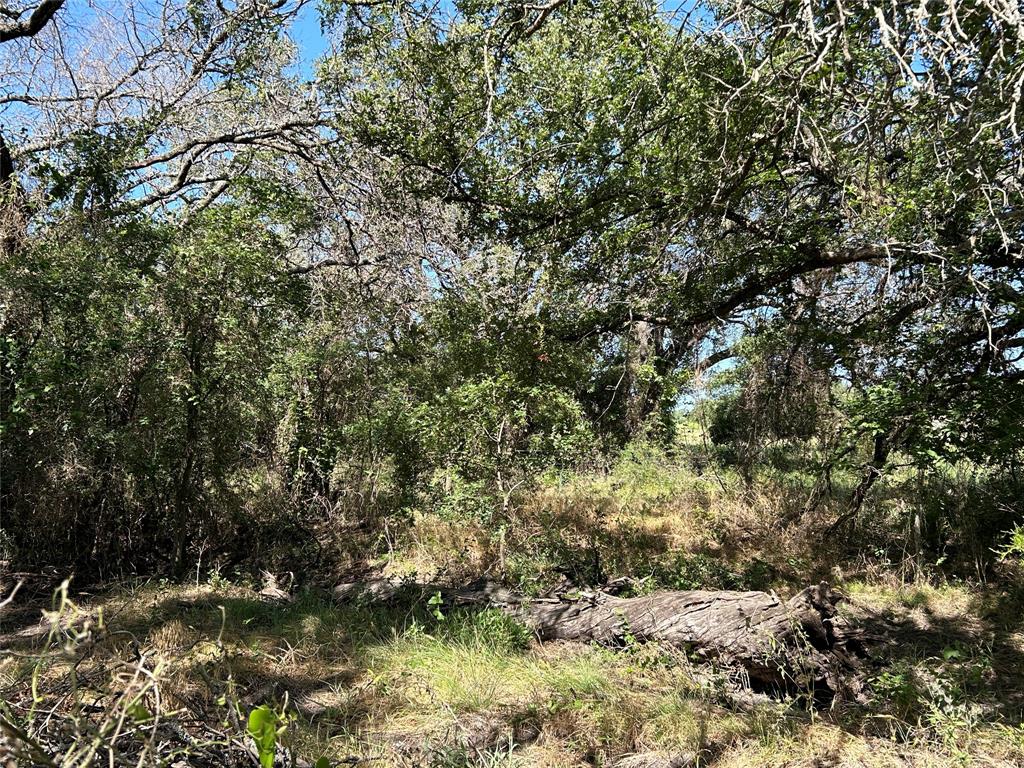 341 West Fm 574 Goldthwaite, TX 76844 - Photo 39 of 40