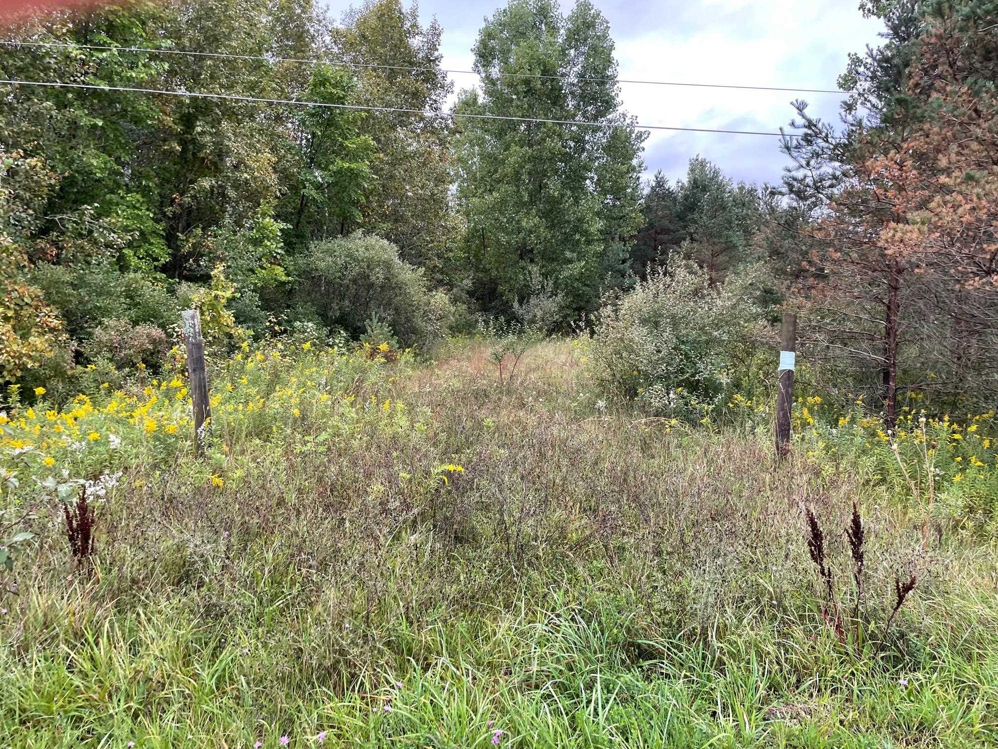 0 State Road West Branch, MI 48661 - Photo 1 of 5 Gallery Image 1