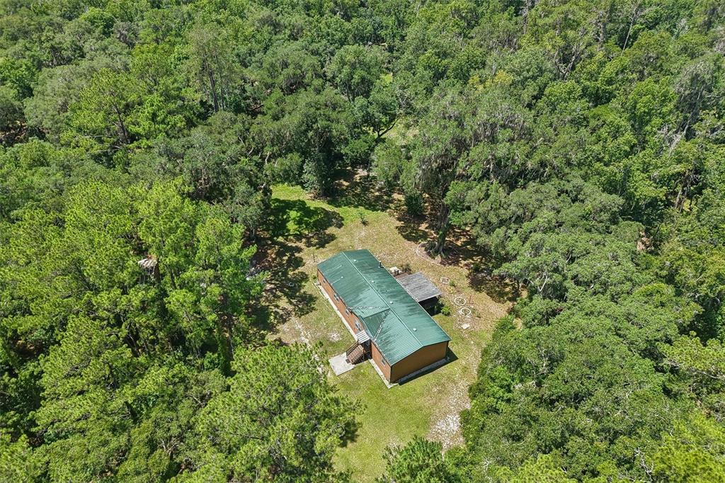 6221 Emerson Road Brooksville, FL 34601 - Photo 21 of 45