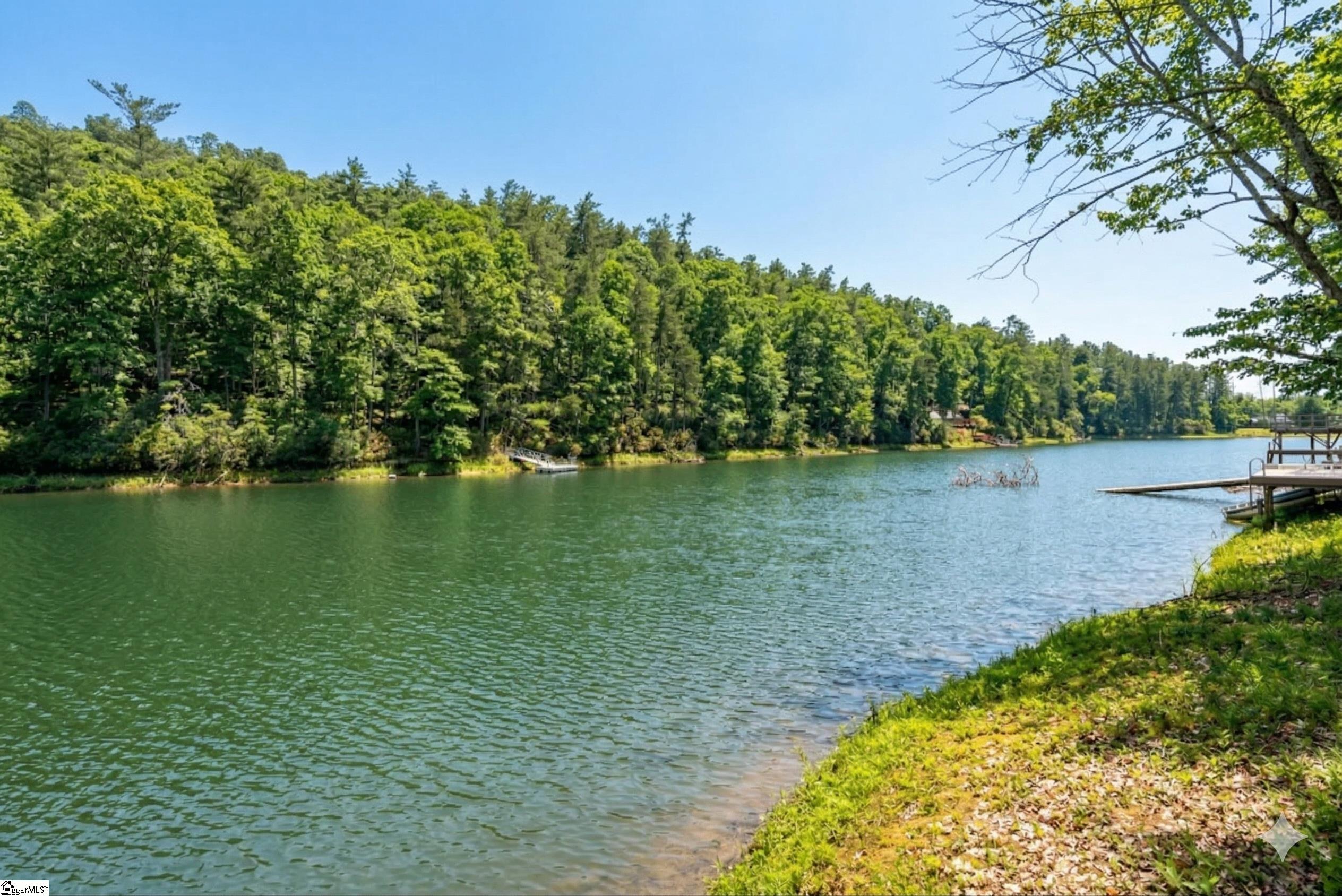215 Nature Lane Mountain Rest, SC 29664 - Photo 22 of 25