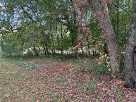 129 Midway Street Belding, MI 48809 - Photo 11 of 11 IMG_2298