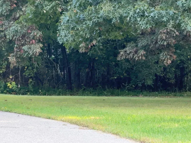 $52,900 | 129 Midway Street, Belding, MI 48809