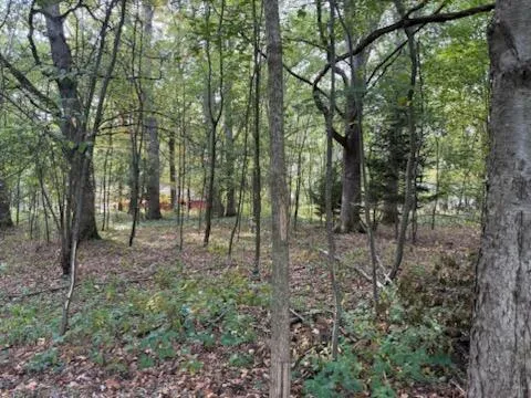 $52,900 | 129 Midway Street, Belding, MI 48809