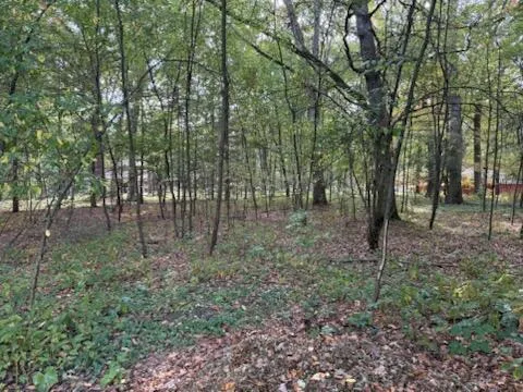 $52,900 | 129 Midway Street, Belding, MI 48809