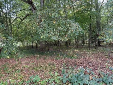 $52,900 | 129 Midway Street, Belding, MI 48809