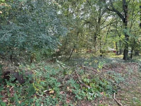 $52,900 | 129 Midway Street, Belding, MI 48809