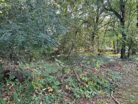 129 Midway Street Belding, MI 48809 - Photo 10 of 11 IMG_2297