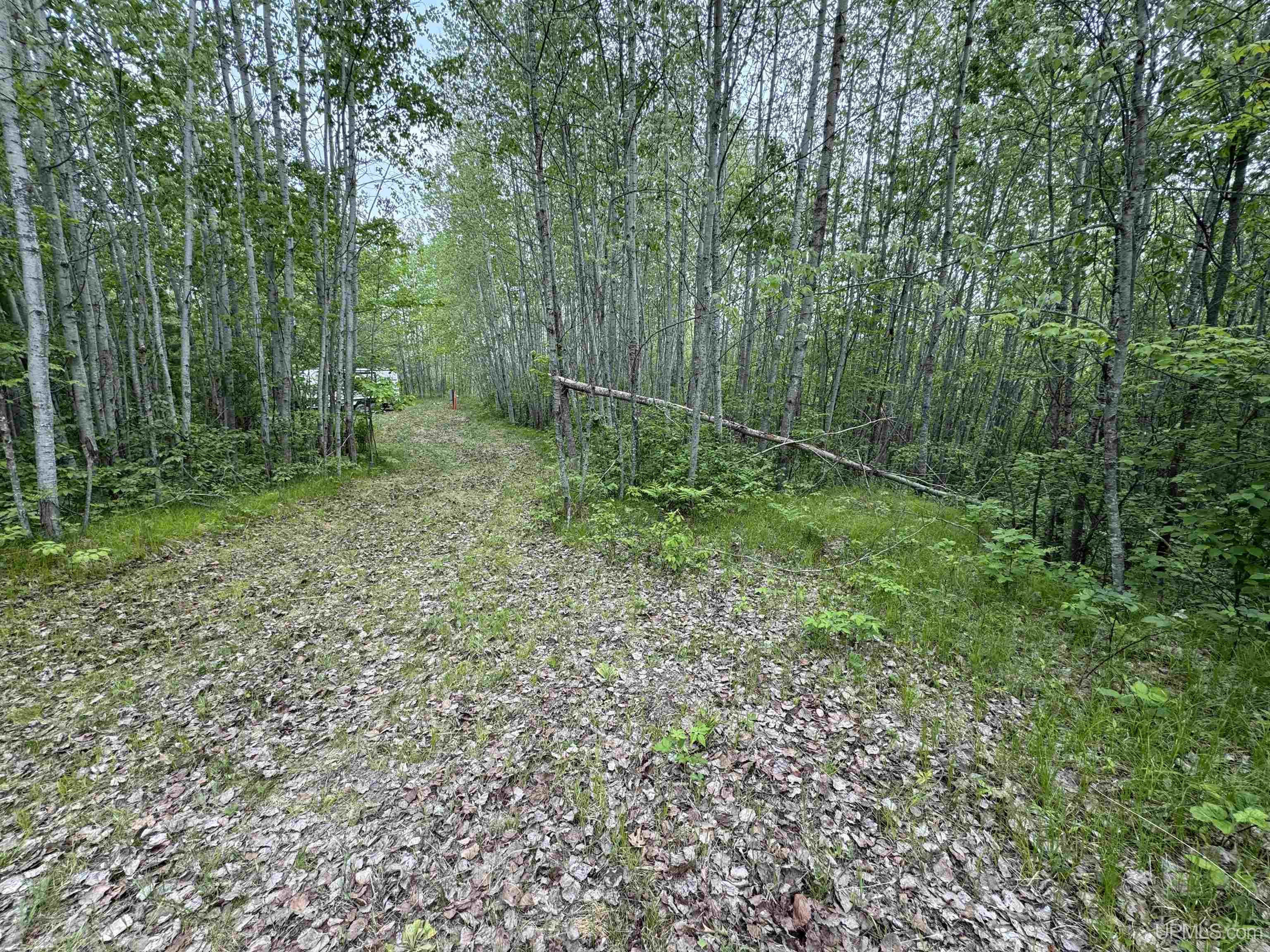 112 Blueberry Corner Road Crystal Falls, MI 49920 - Photo 7 of 19 Gallery Image 7