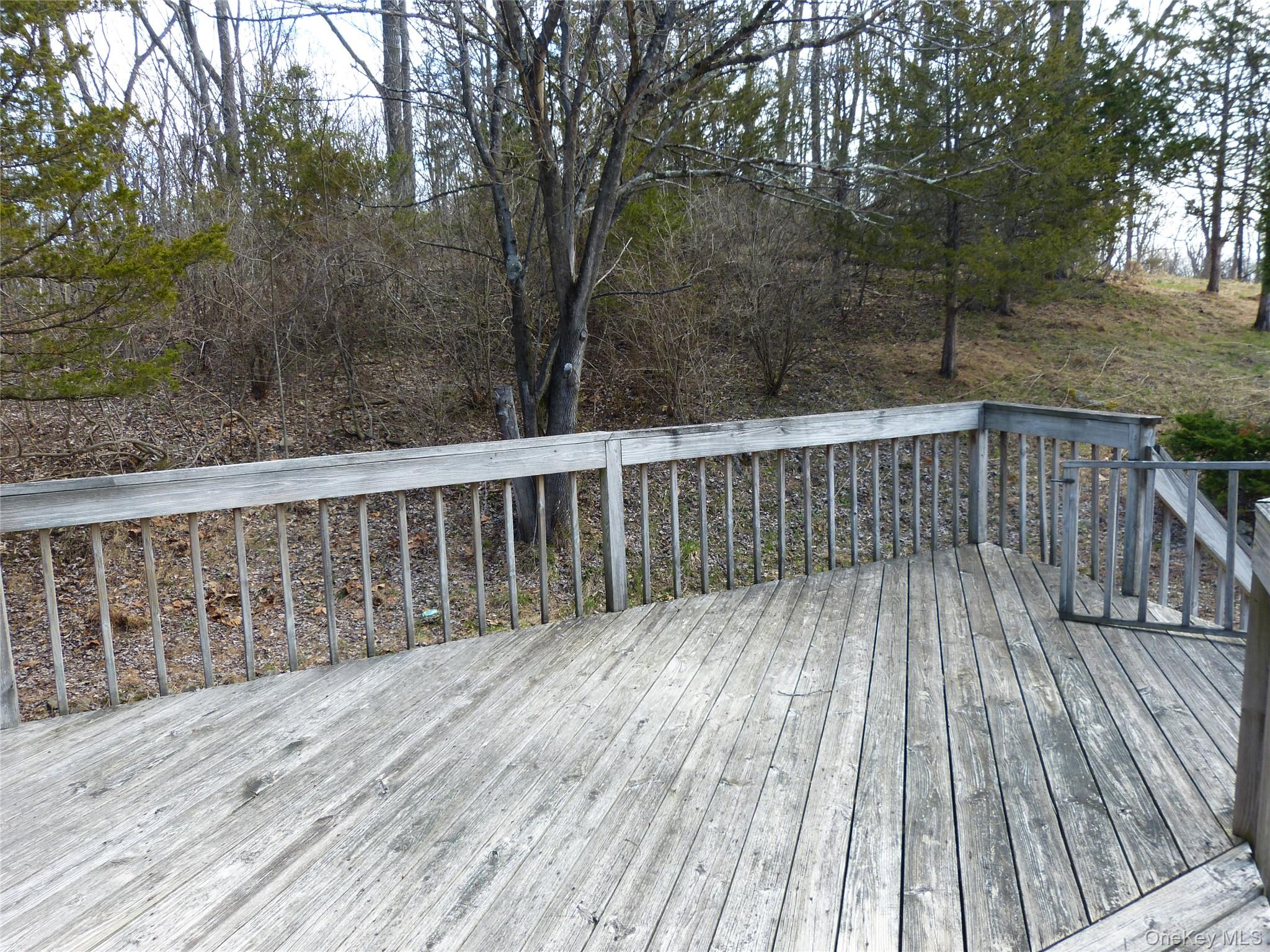 25 Liberty Corners Road Pine Island, NY 10969 - Photo 12 of 14 a view of wooden deck