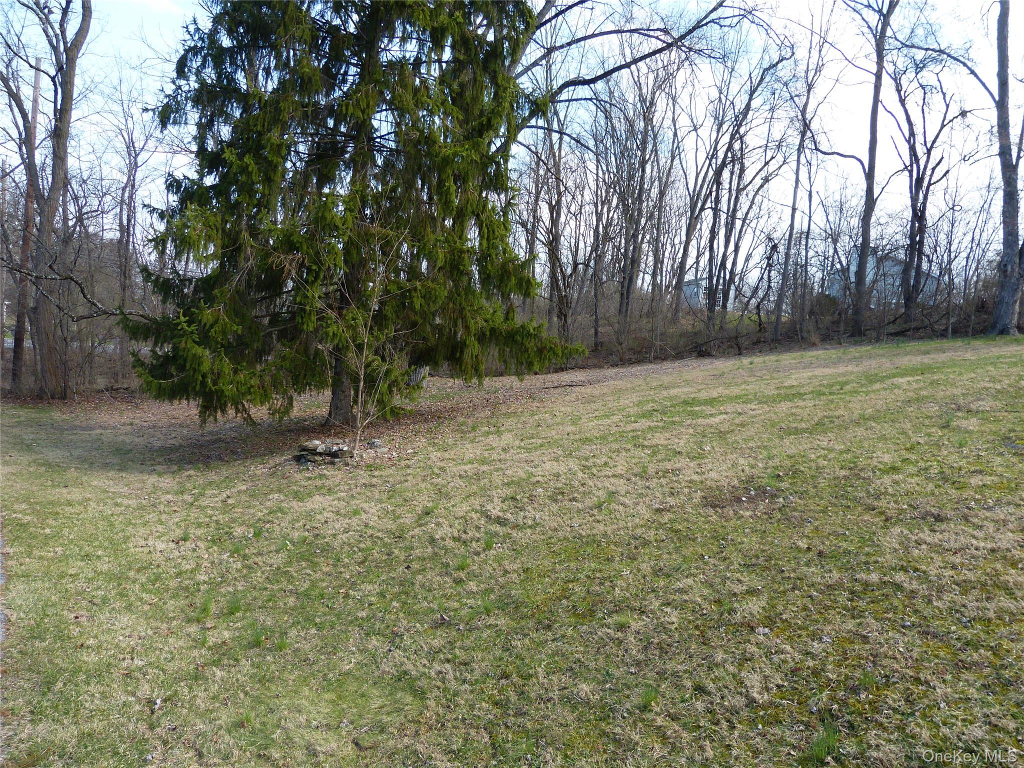 25 Liberty Corners Road Pine Island, NY 10969 - Photo 13 of 14 a view of outdoor space with trees
