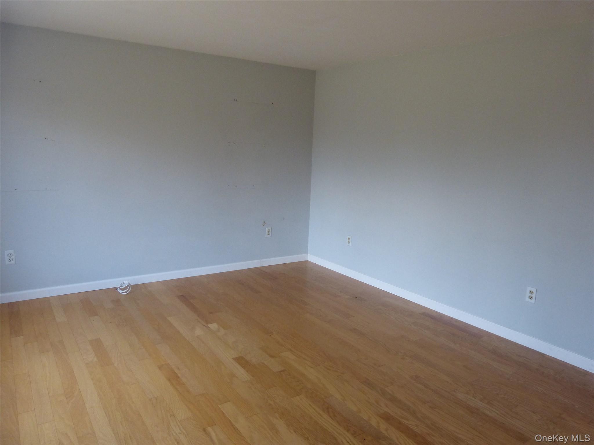 25 Liberty Corners Road Pine Island, NY 10969 - Photo 3 of 14 a view of an empty room