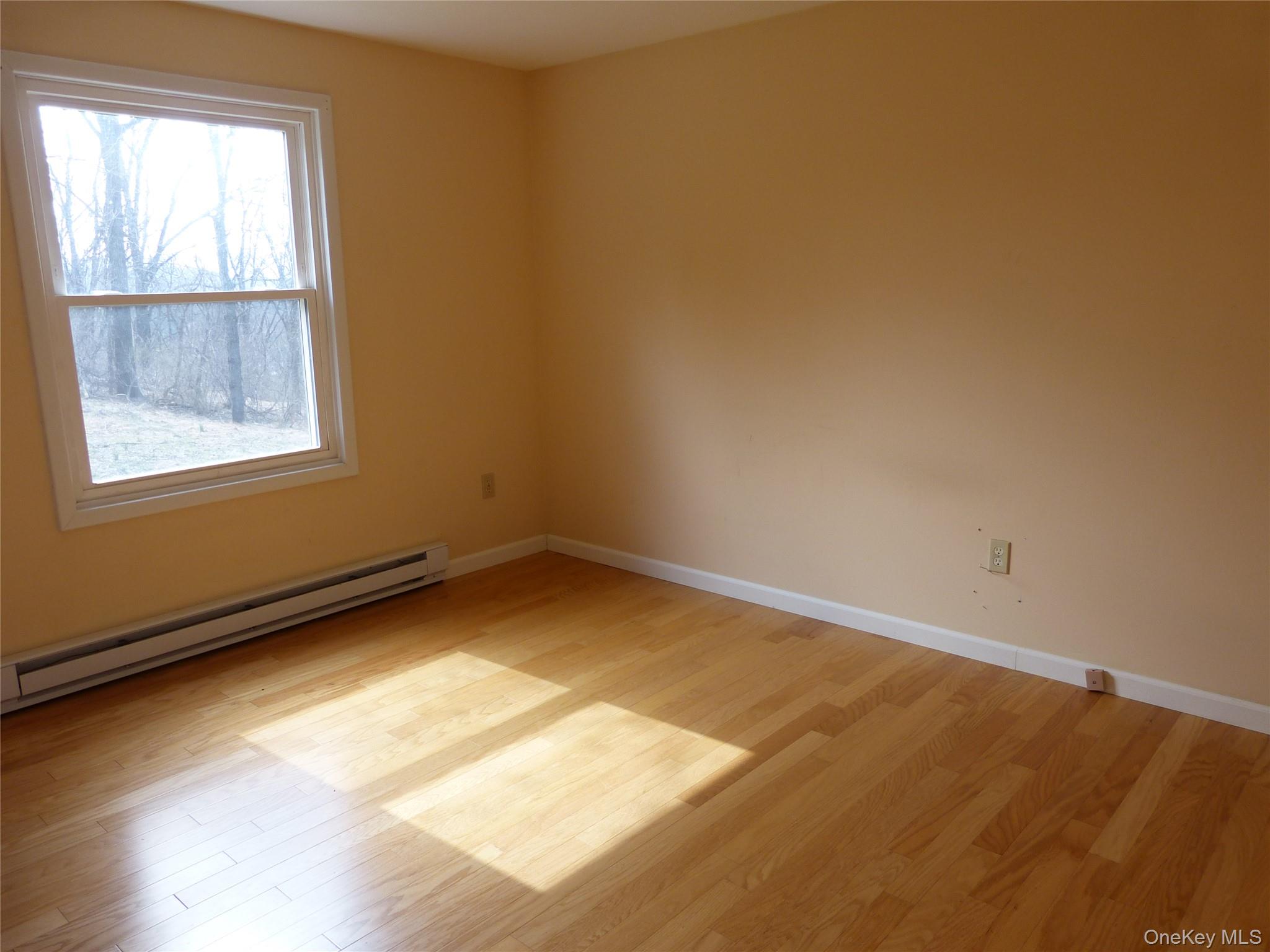 25 Liberty Corners Road Pine Island, NY 10969 - Photo 8 of 14 an empty room with a window