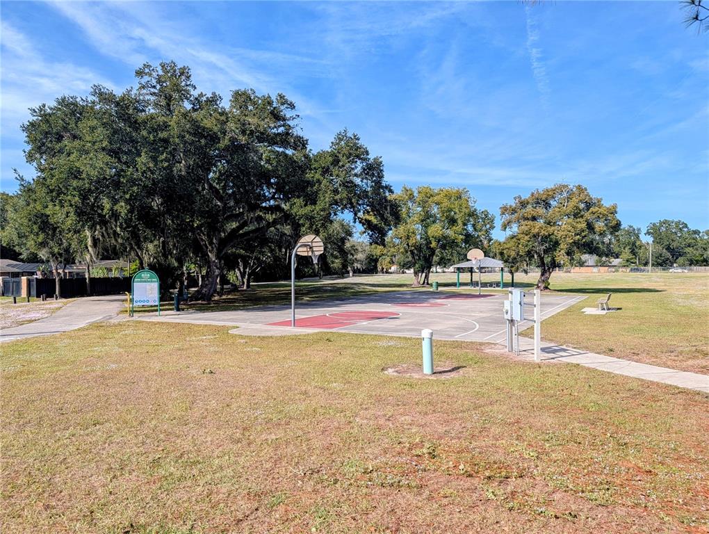 8410 Peterson Road Odessa, FL 33556 - Photo 10 of 11 a view of a swimming pool with a yard