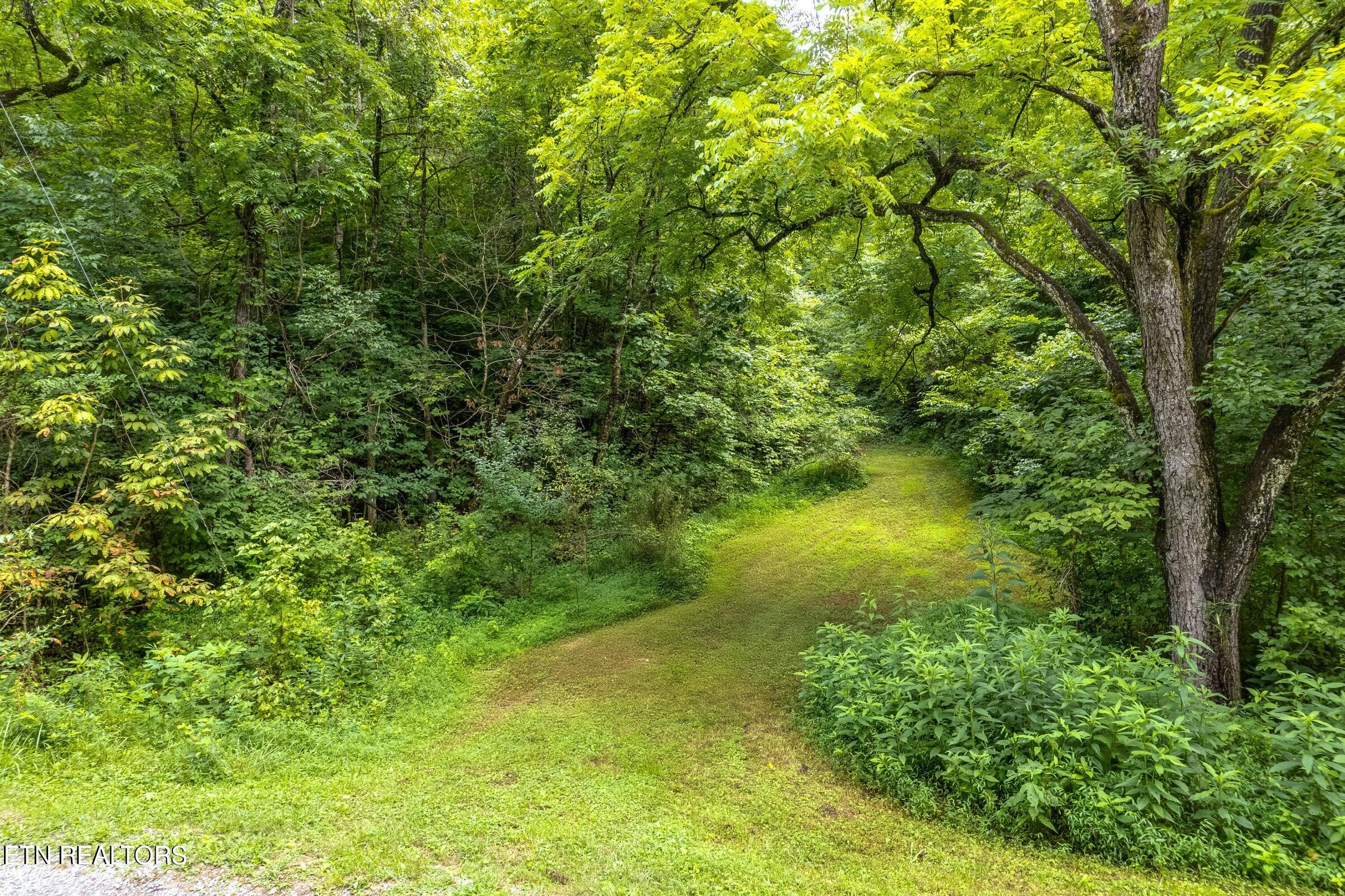 Moon Hollow Road Sevierville, TN 37876 - Photo 12 of 13 20240729155854525430000000-o