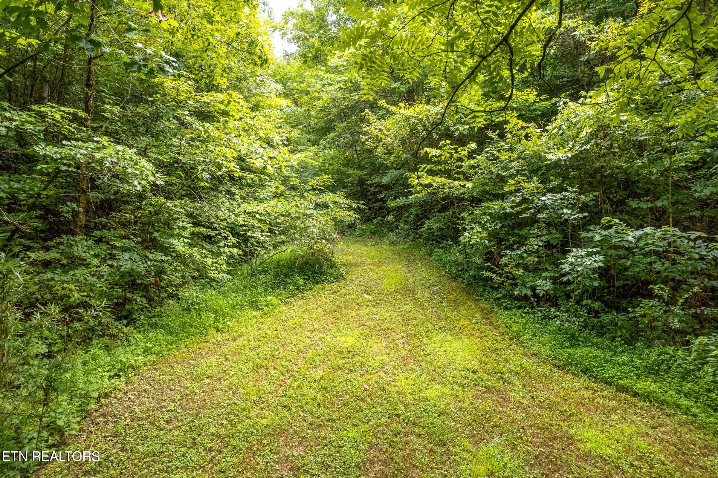 Moon Hollow Road Sevierville, TN 37876 - Photo 13 of 13 20240729155905938151000000-o