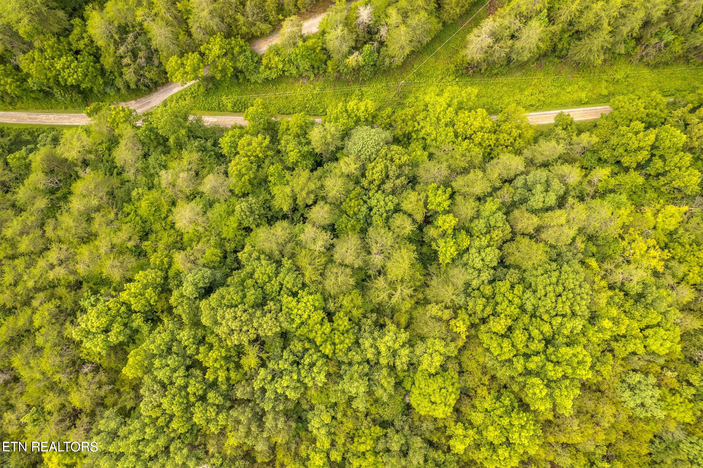 Moon Hollow Road Sevierville, TN 37876 - Photo 5 of 13 20240729145202461828000000-o