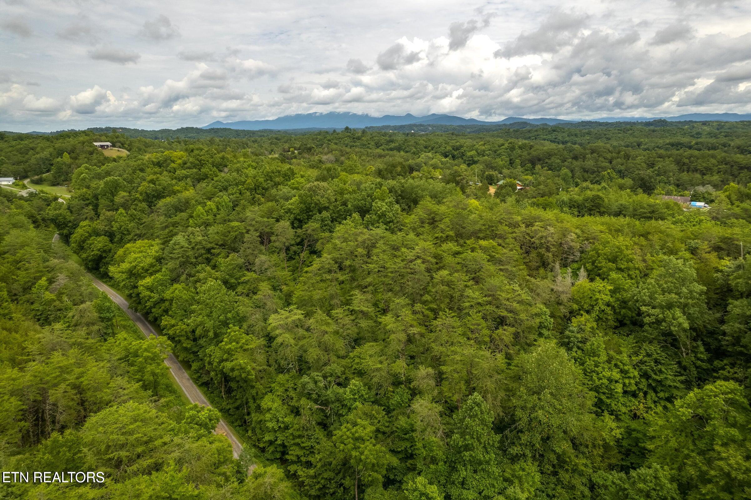 Moon Hollow Road Sevierville, TN 37876 - Photo 7 of 13 20240729145225871664000000-o