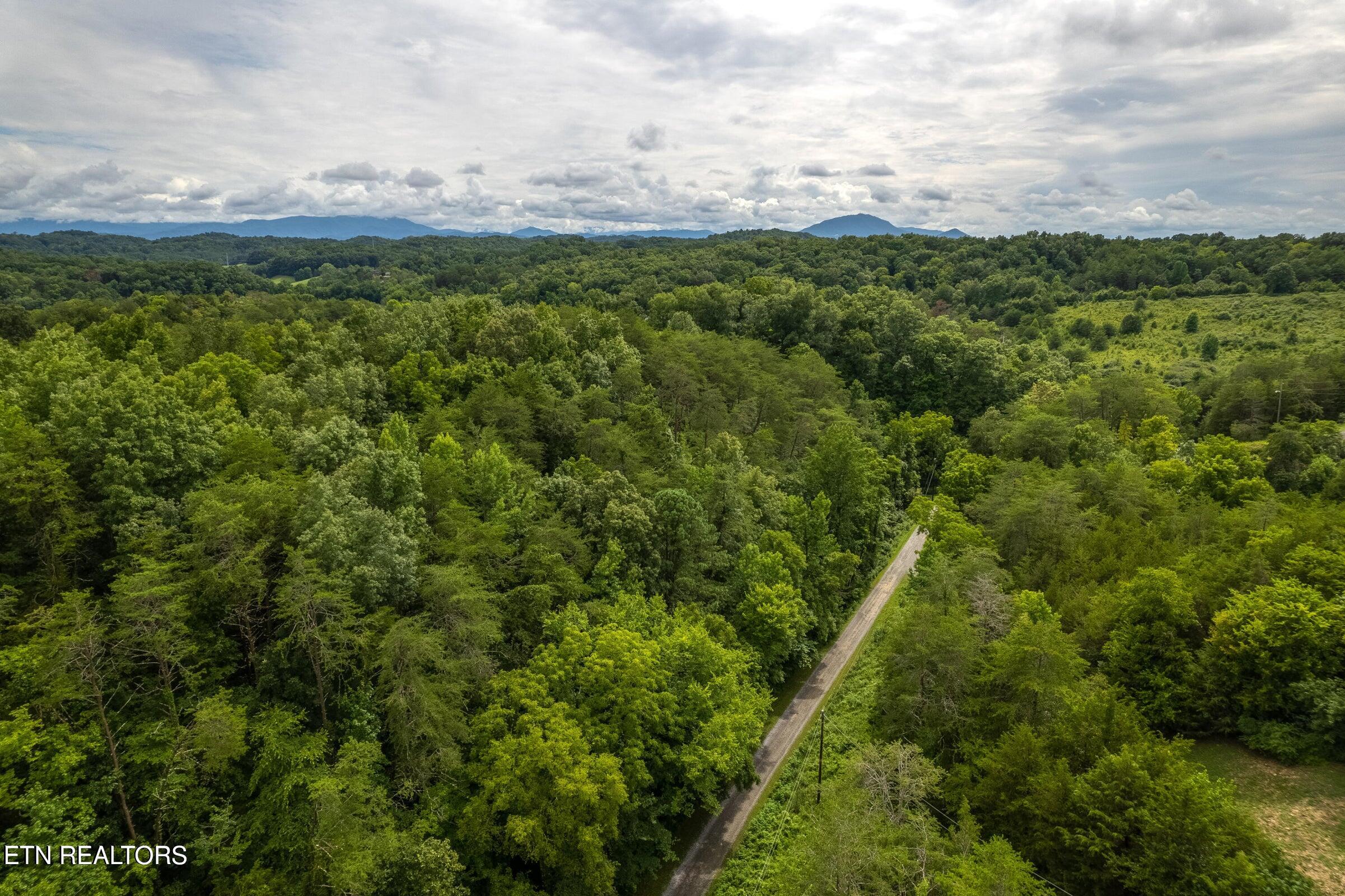 Moon Hollow Road Sevierville, TN 37876 - Photo 9 of 13 20240729145242705533000000-o
