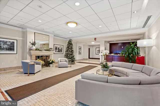 a living room with furniture a couch and a potted plant