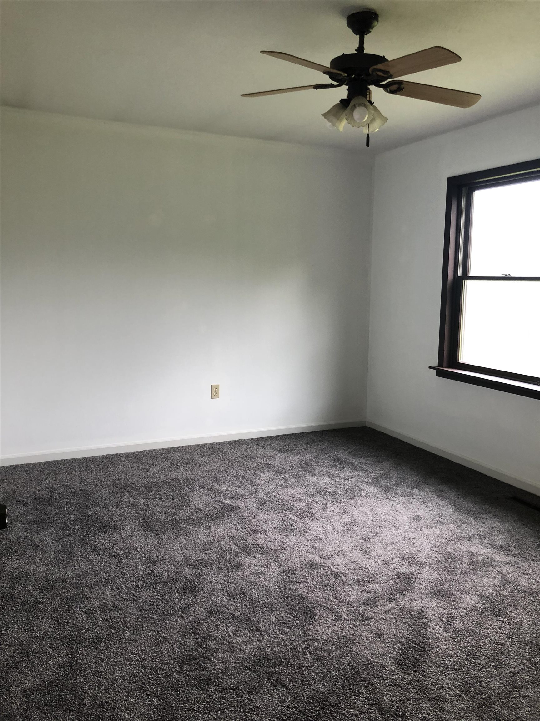 8866 Simpson Road Ovid, MI 48866 - Photo 12 of 19