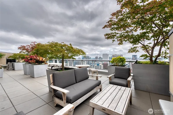 a roof deck with couches and potted plants