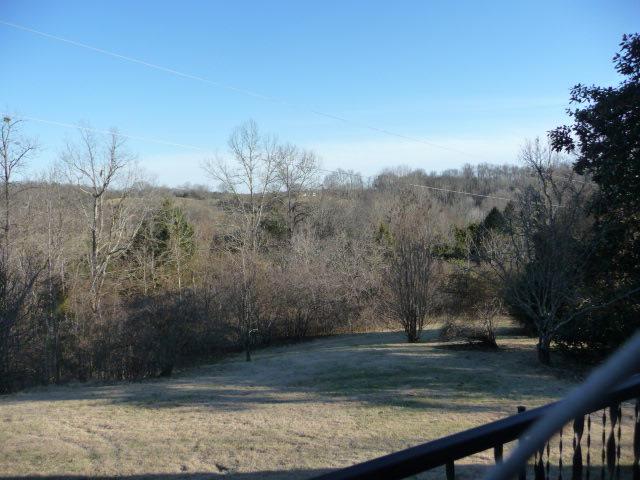 1943 Groveland Ridge Road Columbia, TN 38401 - Photo 14 of 14 You will see lots of wild life from your front porch.