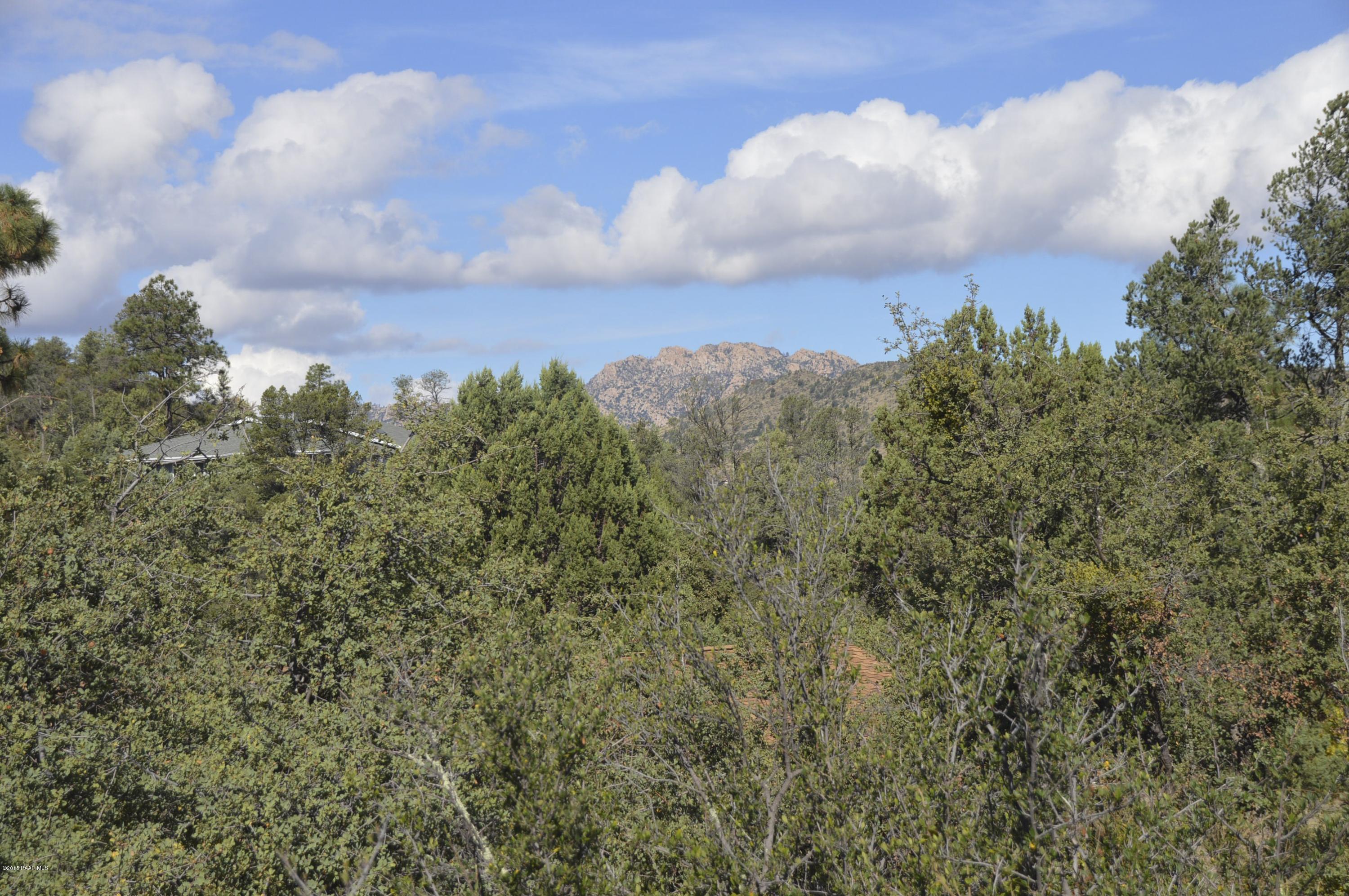 43 Rill Road Prescott, AZ 86305 - Photo 13 of 43 013_Front Yard View