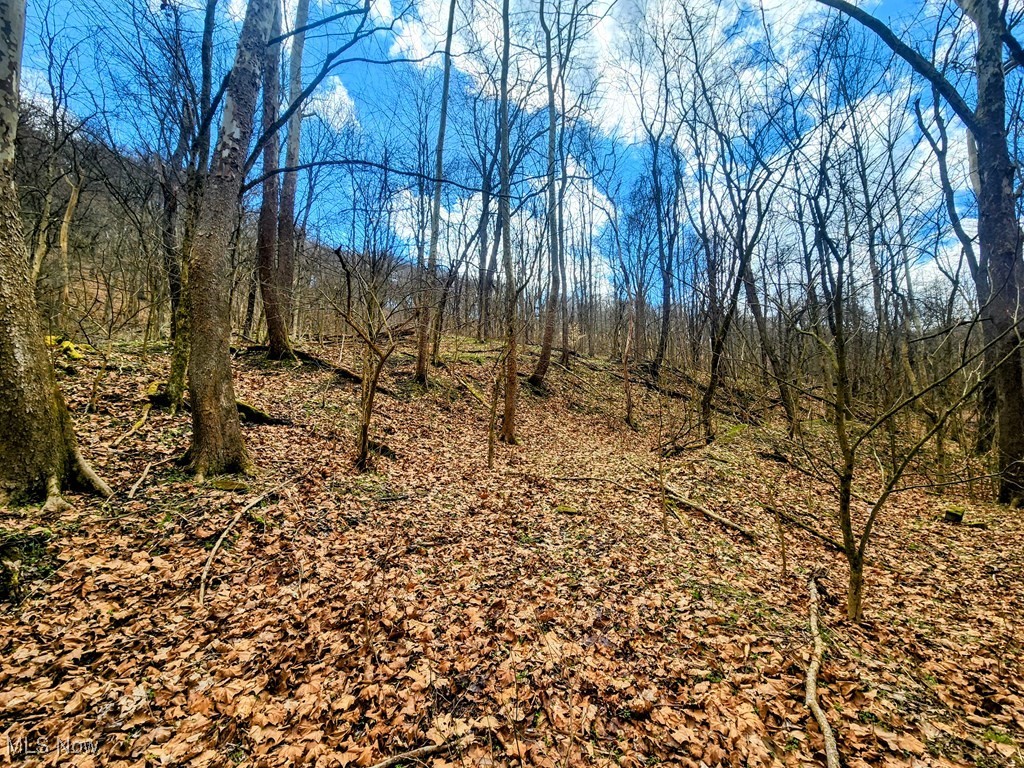 Kings Creek Road New Cumberland, WV 26047 - Photo 12 of 18