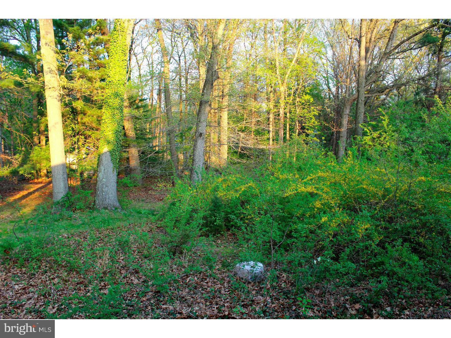 172 North Post Road West Windsor, NJ 08550 - Photo 15 of 24
