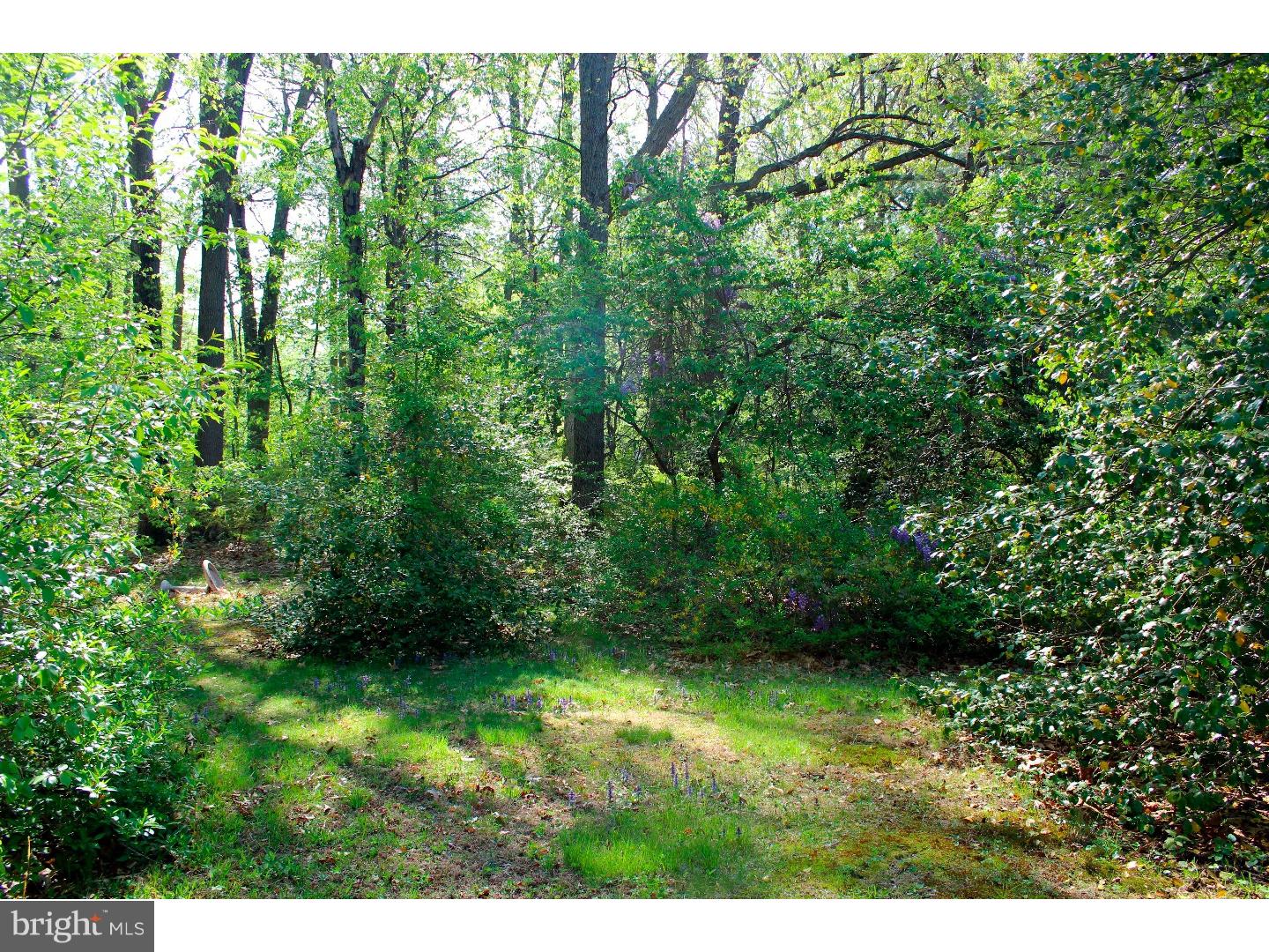 172 North Post Road West Windsor, NJ 08550 - Photo 22 of 24