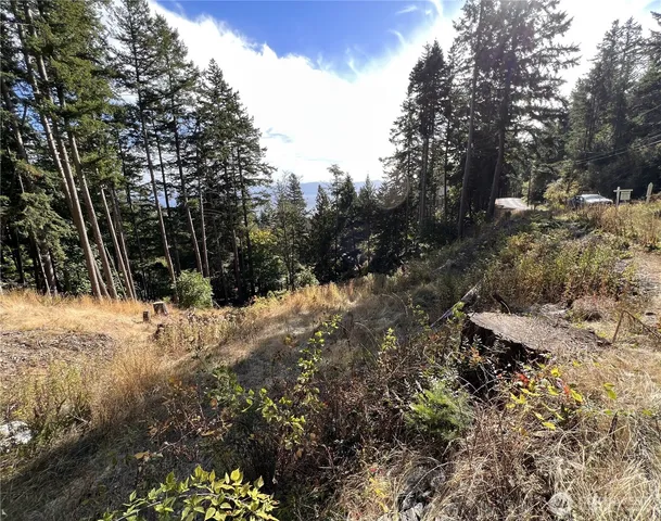 a view of a road with a tree