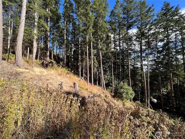 a view of trees and covered with wooden fence