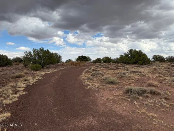 a view of a open area