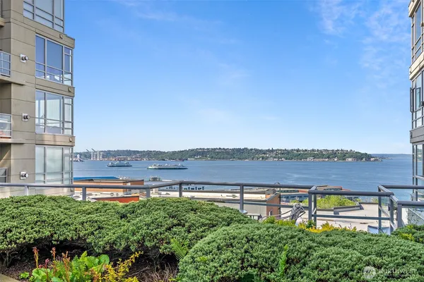 a view of a lake with a city view
