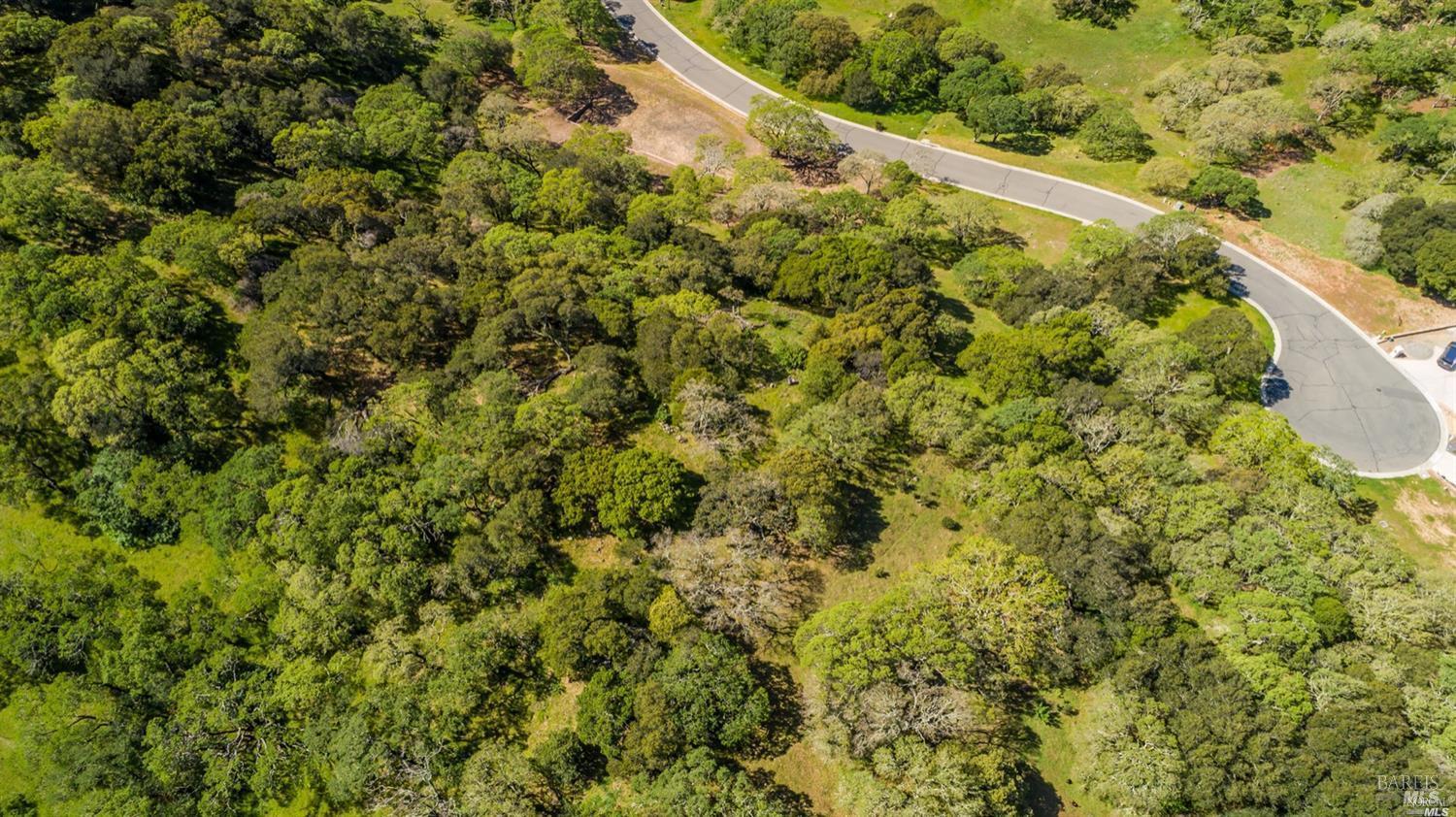 746 Bridle Ridge Court Fairfield, CA 94534 - Photo 11 of 19