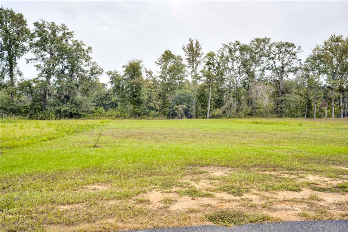 205 Rivers Run Waynesboro, GA 30830 - Photo 13 of 18 06-006-