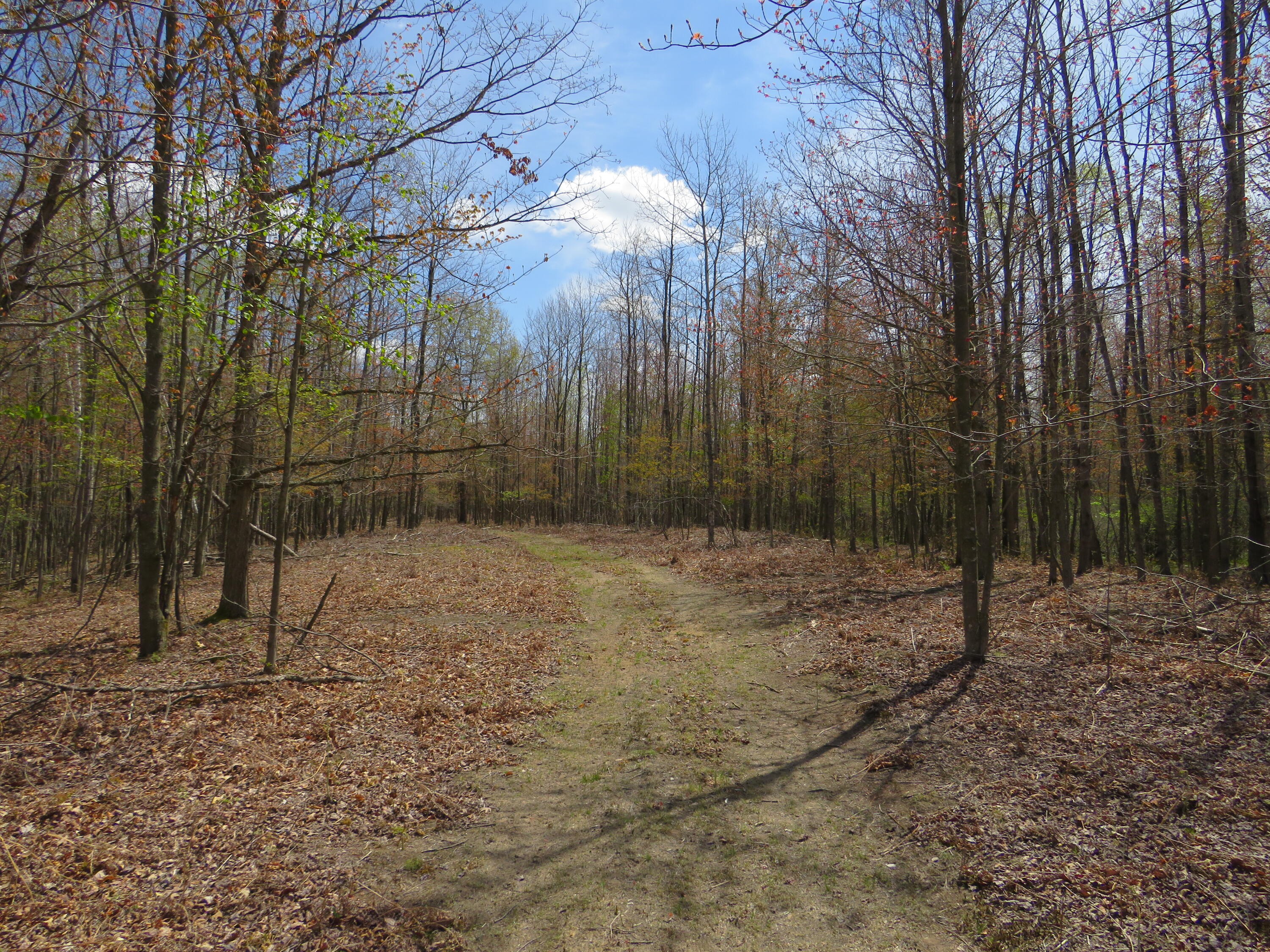 Property Trail Entrance